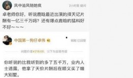 鹿晗吃瓜爆料卓伟视频,一场娱乐圈吃瓜大戏